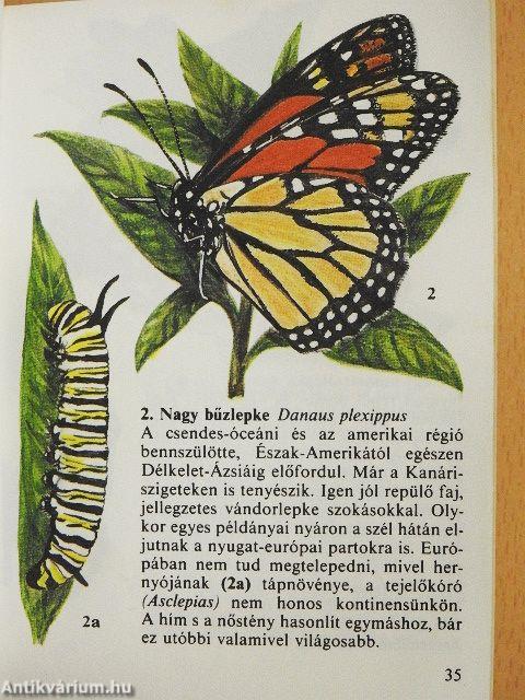 Lepkék