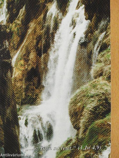 A főparancs