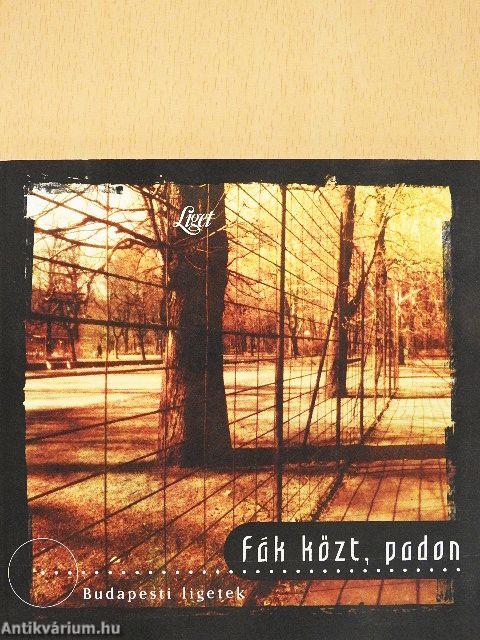 Fák közt, padon