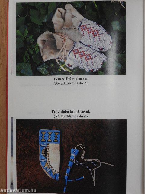 Nagyanyáink útján