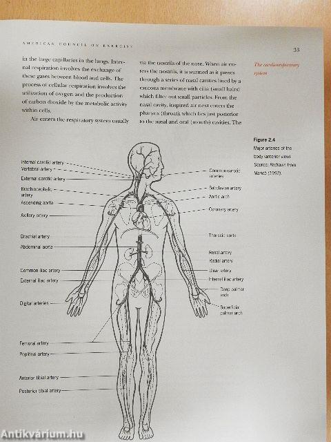 Aerobics Instructor Manual