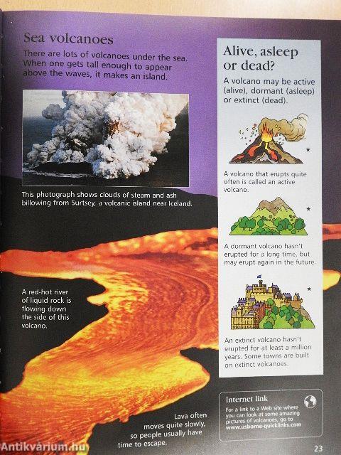 The Usborne Internet-linked Children's Encyclopedia