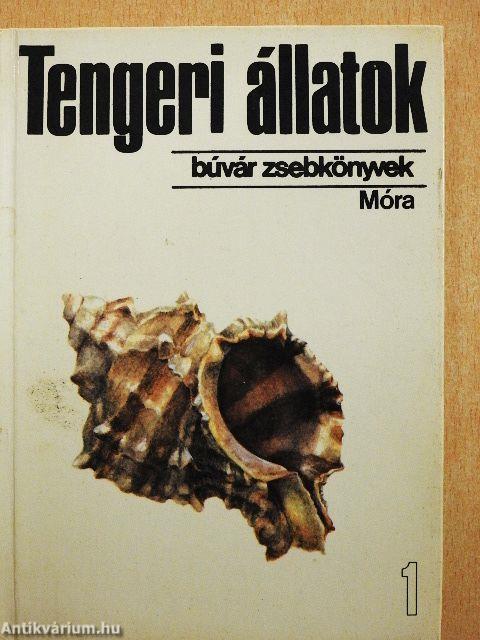 Tengeri állatok 1.