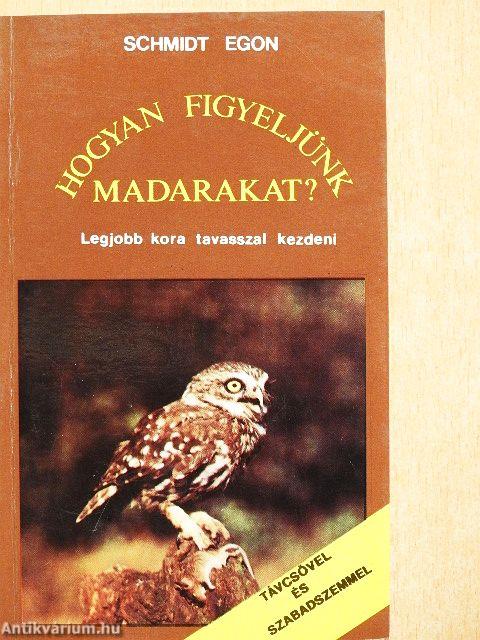 Hogyan figyeljünk madarakat?