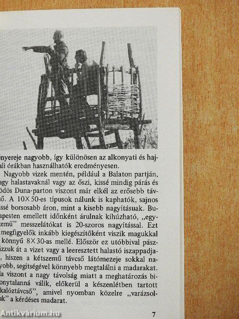 Hogyan figyeljünk madarakat?