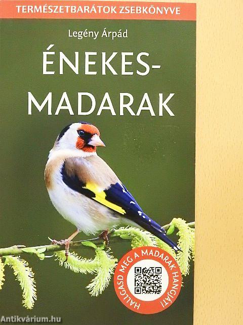 Énekesmadarak