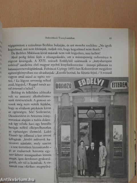 Nagy macskajajkönyv