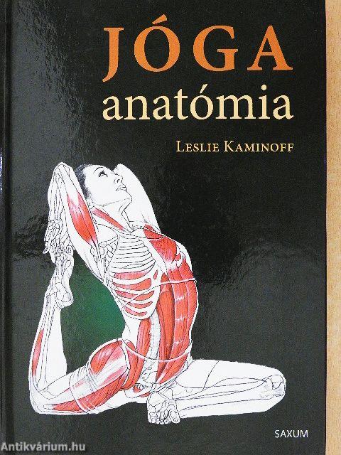 Jógaanatómia