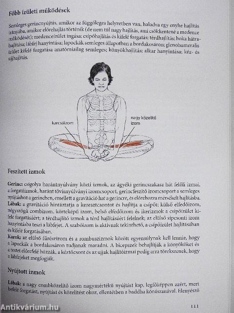 Jógaanatómia