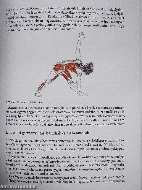 Jógaanatómia