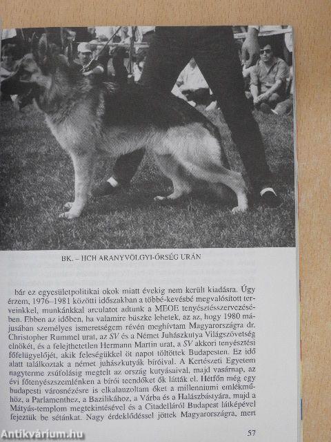 Őfelsége a német juhászkutya