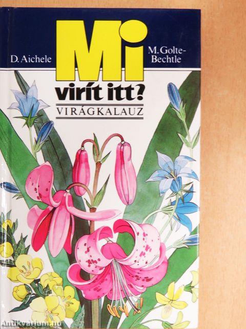 Mi virít itt?