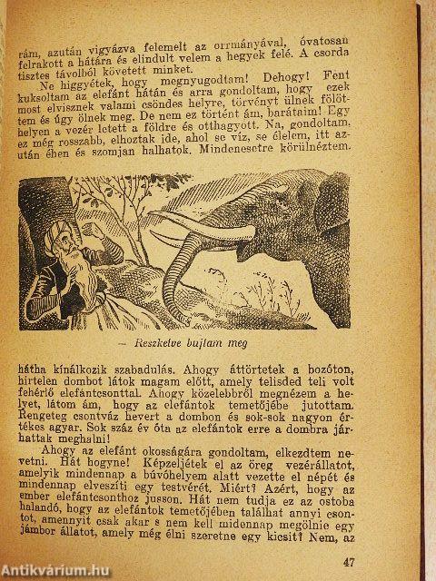 Ezeregy éjszaka meséi