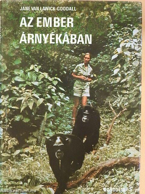 Az ember árnyékában