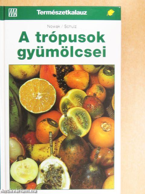 A trópusok gyümölcsei