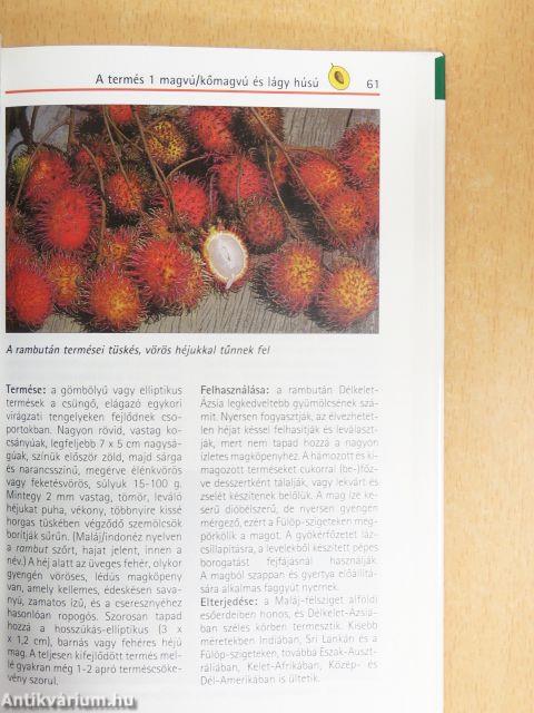 A trópusok gyümölcsei
