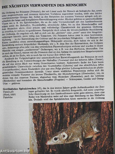 Bunte Welt der Säugetiere