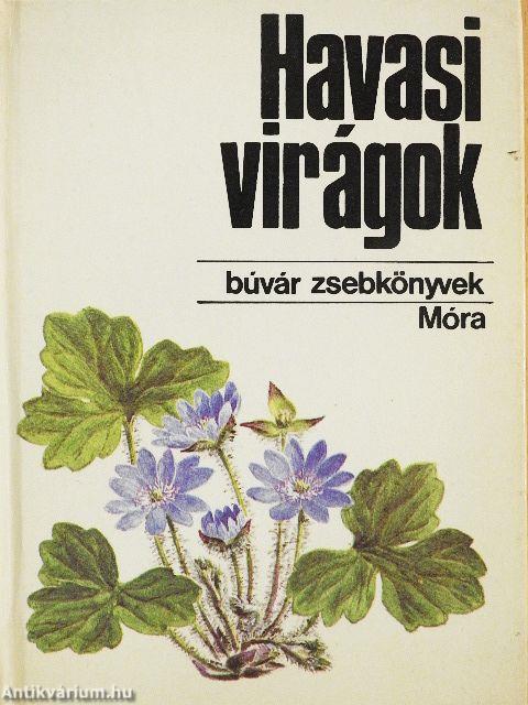 Havasi virágok