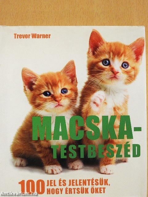 Macska-testbeszéd