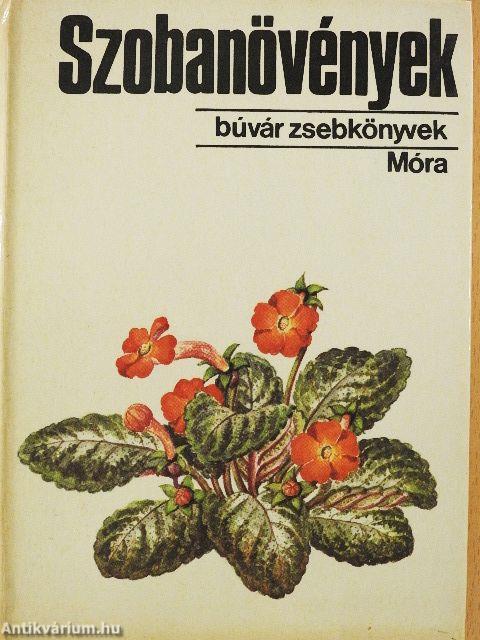 Szobanövények