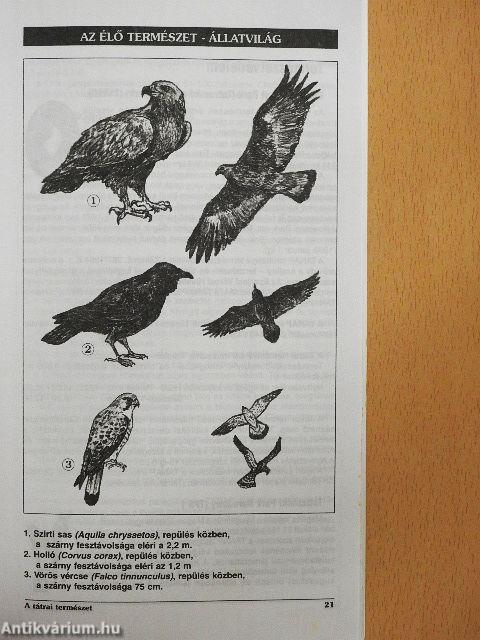 A tátrai természet