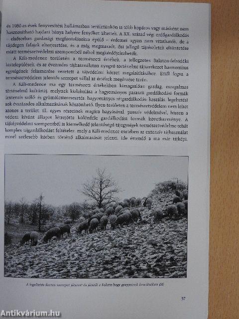 A Káli-medence