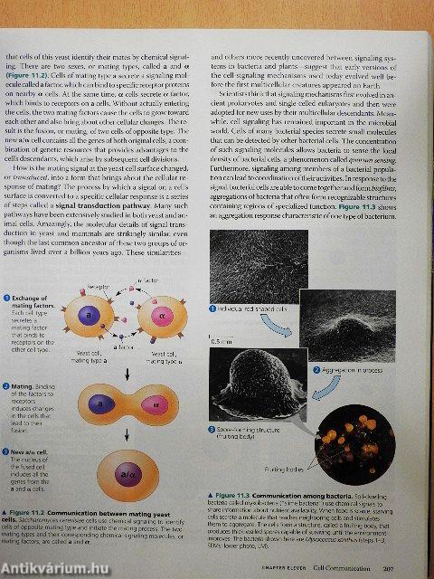 Biology