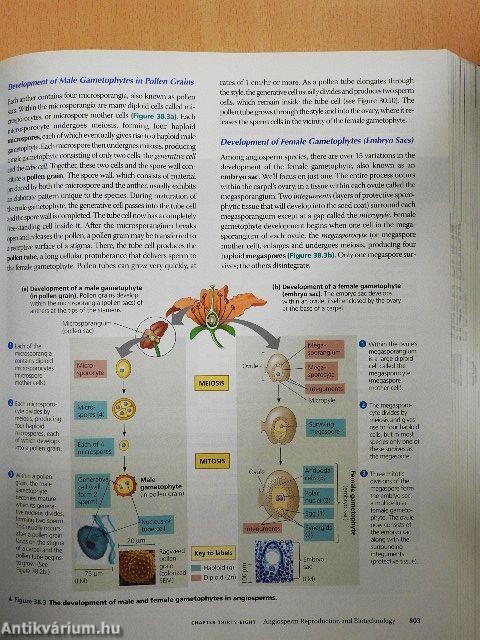 Biology