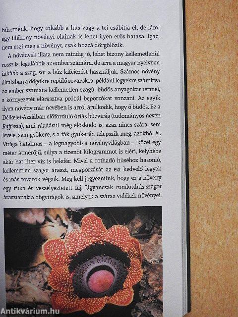 Beszéljünk növényül!
