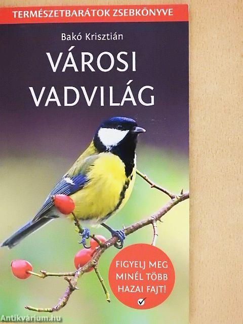 Városi vadvilág