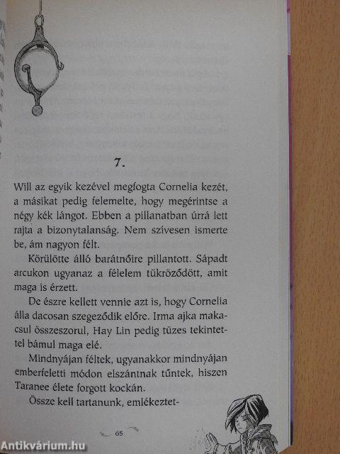 A tűz hatalma