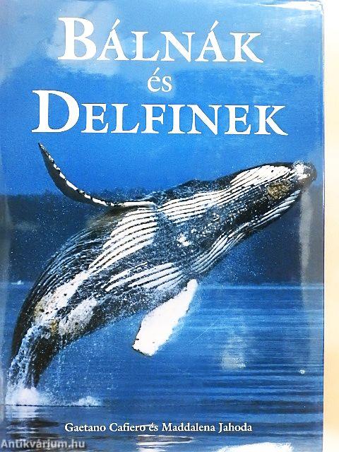 Bálnák és delfinek