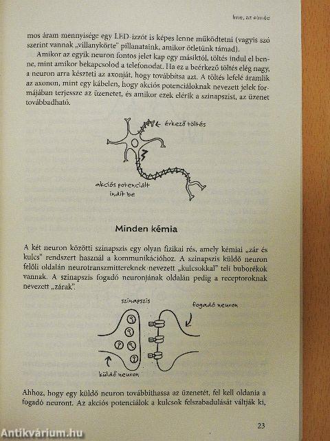 Agytakarítás