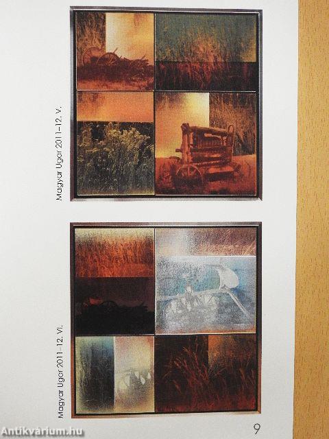 Magyar ugar 2011-12.