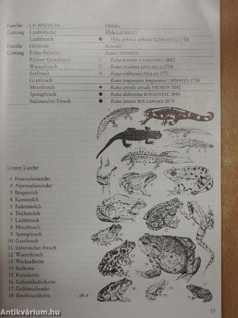 Die Amphibien der Schweiz