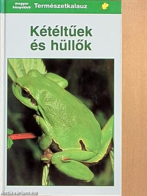 Kétéltűek és hüllők
