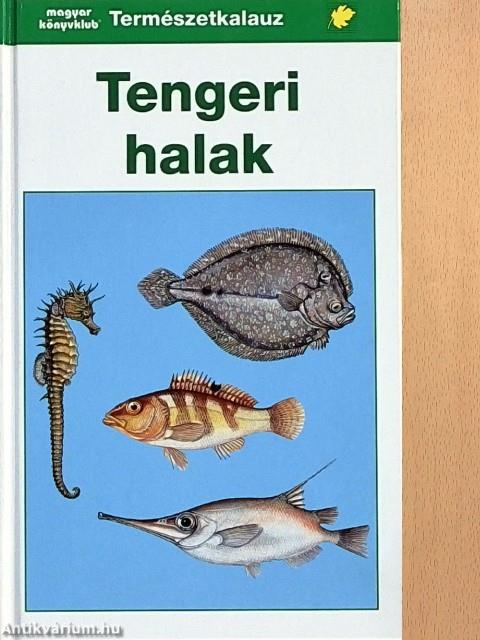 Tengeri halak
