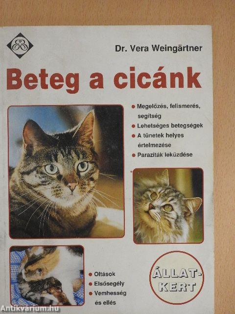 Beteg a cicánk