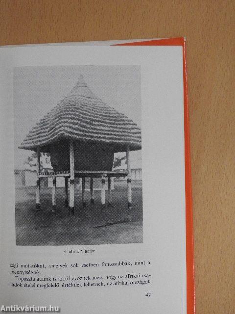 A fejlődő országok egészségügyi problémái