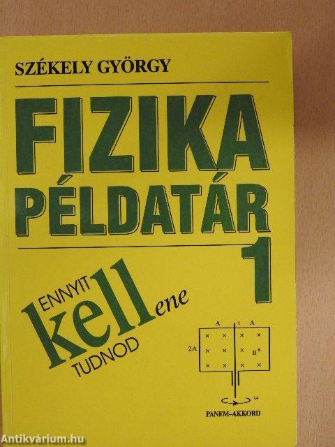 Fizika példatár 1.