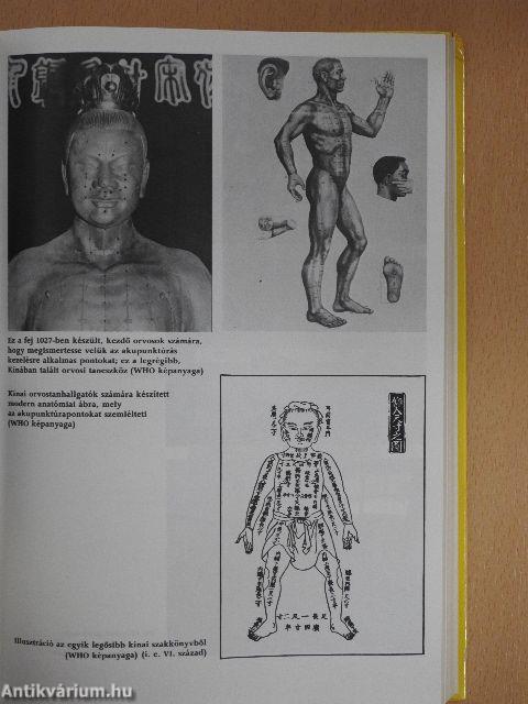A keleti gyógyítás útjain