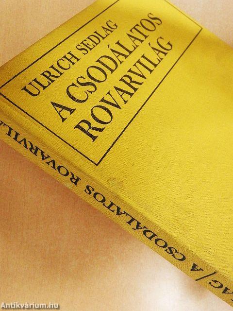A csodálatos rovarvilág