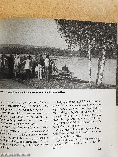 Amerre a madár jár
