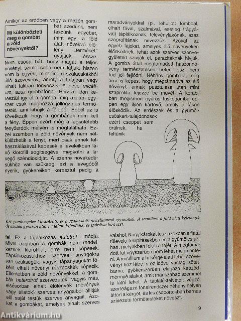 Gombák, mohák és harasztok