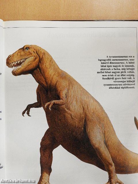 Dinoszauruszok