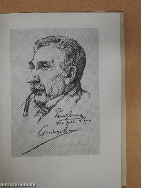 Ida regénye