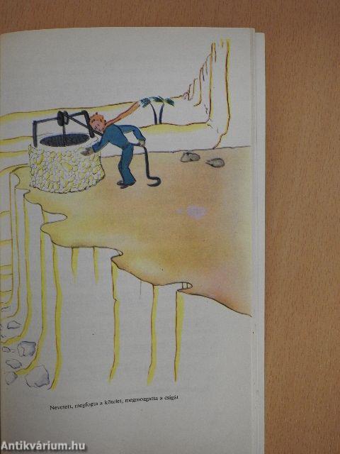 A kis herceg