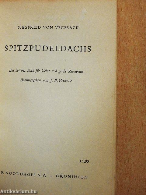 Spitzpudeldachs