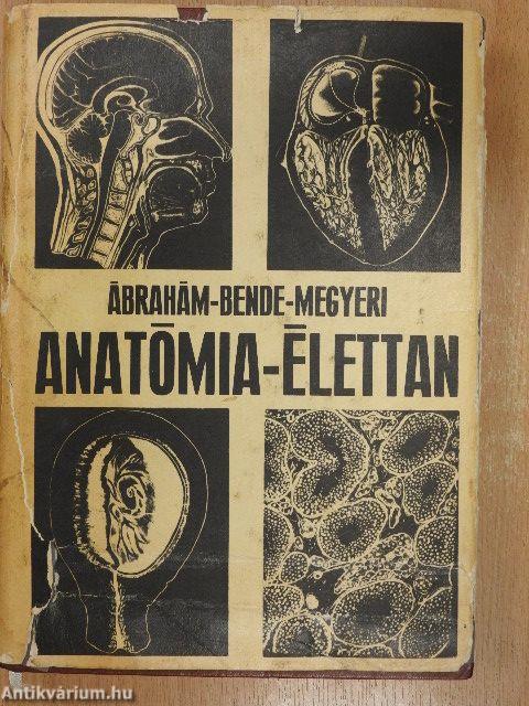 Anatómia-élettan