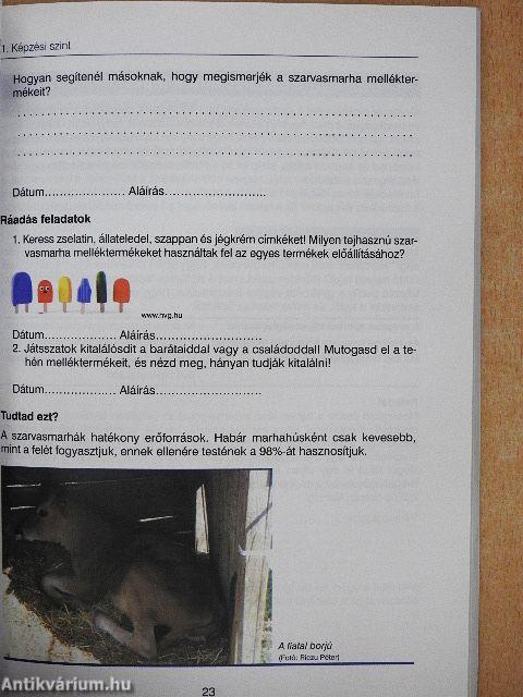 Tejtermelés